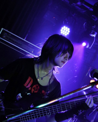 On stage media image