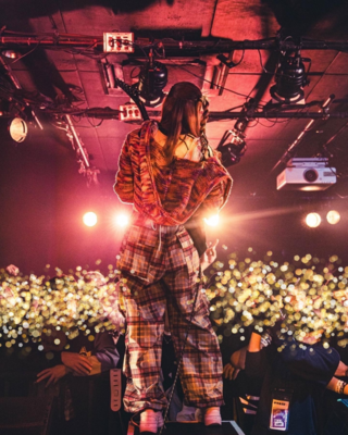 On stage media image