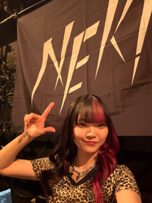 On stage media image