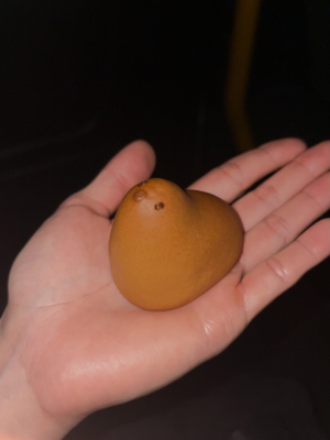 Fukuoka food media image